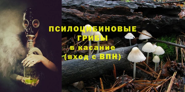 прущие грибы Алзамай