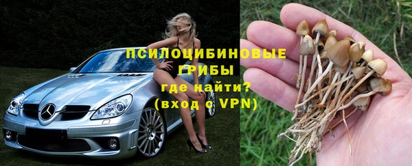 спайс Алексеевка