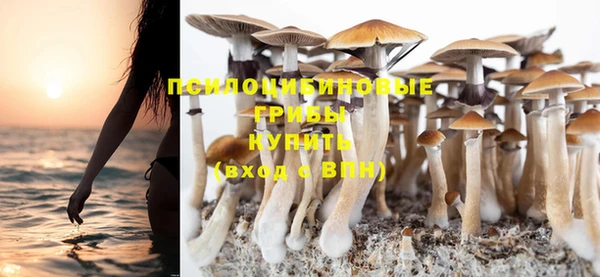 прущие грибы Алзамай