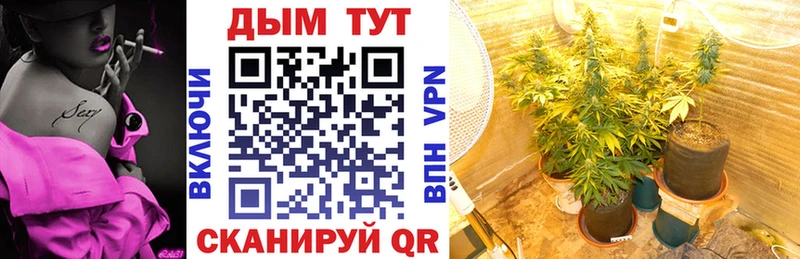 Канабис THC 21%  Снежногорск 
